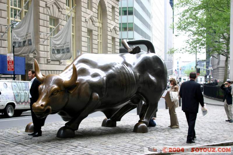 Wall Street Bull
