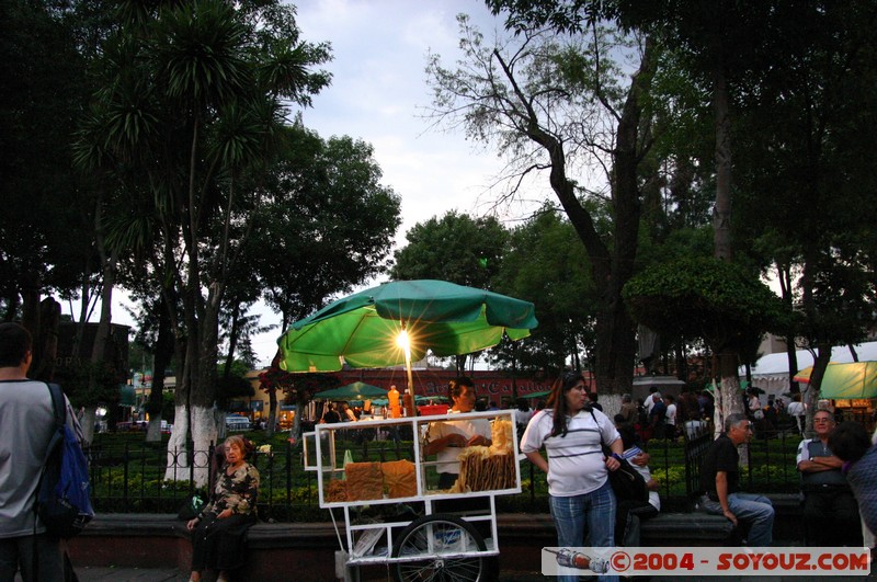 Plaza Hidalgo - chicharrones (peau de porc en beignet)
