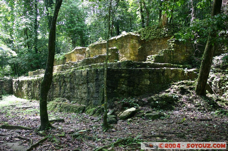 Palenque - Templo de los Murcielagos
Mots-clés: Ruines patrimoine unesco