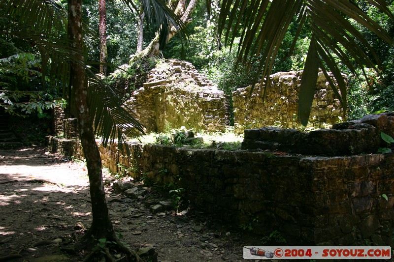 Palenque - Templo de los Murcielagos
Mots-clés: Ruines patrimoine unesco