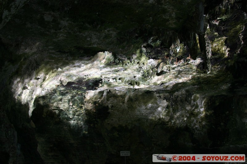 Cenote Zaci
