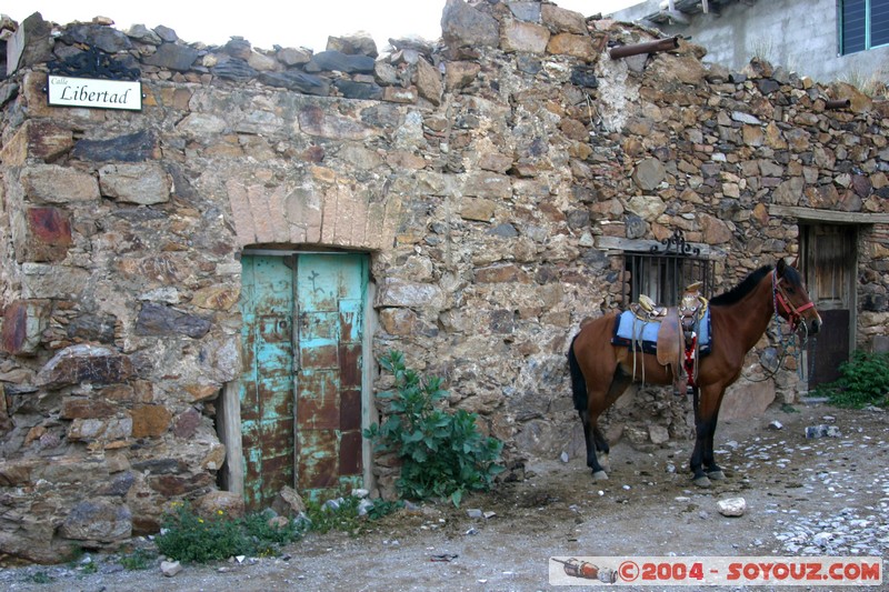 Real de Catorce - Calle Libertad
Mots-clés: animals cheval