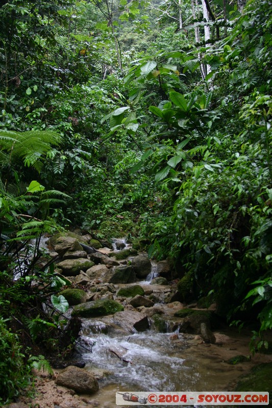 Jungle Trek
Mots-clés: Ecuador Riviere