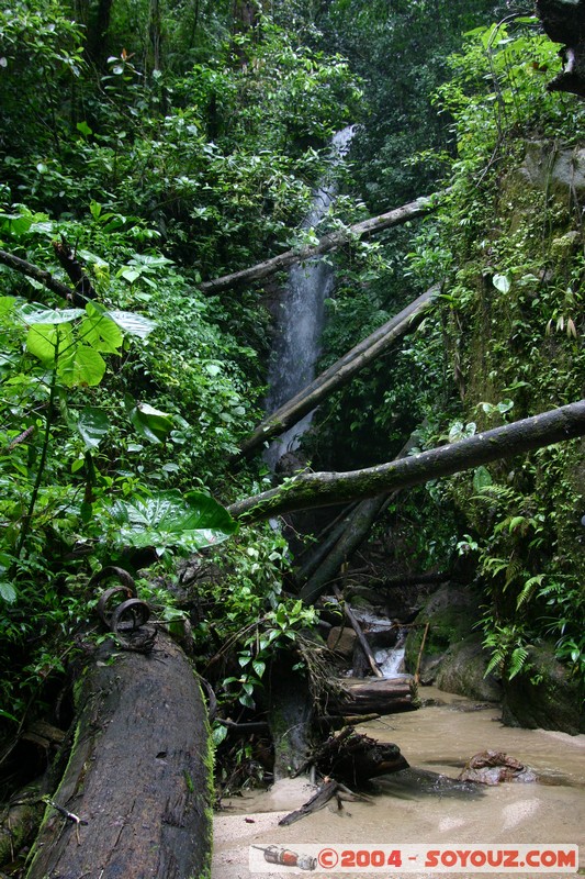 Jungle Trek
Mots-clés: Ecuador cascade
