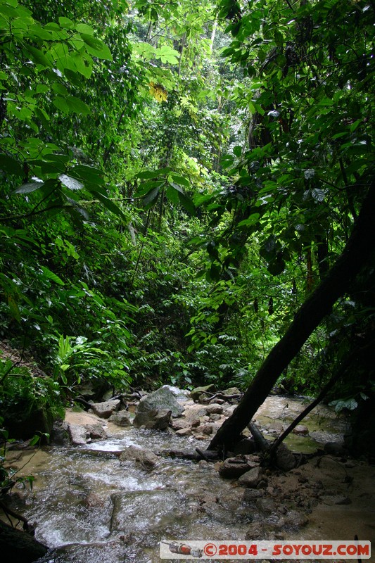 Jungle Trek
Mots-clés: Ecuador