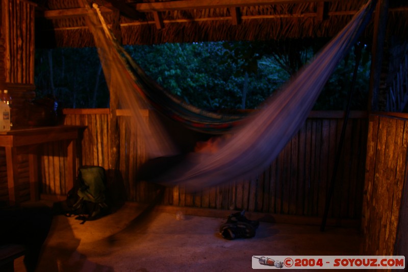 Jungle Trek - Dreaming
Mots-clés: Ecuador Nuit Insolite