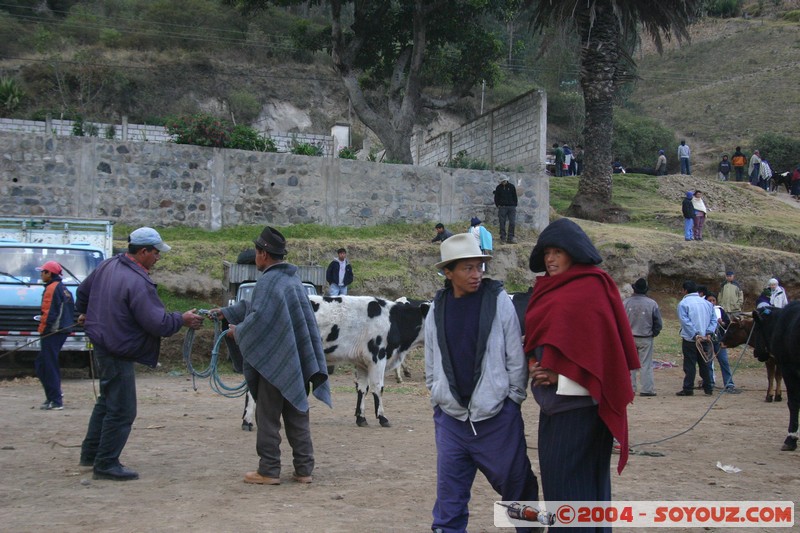Otavalo - Marche aux bestiaux
Mots-clés: Ecuador Marche animals personnes