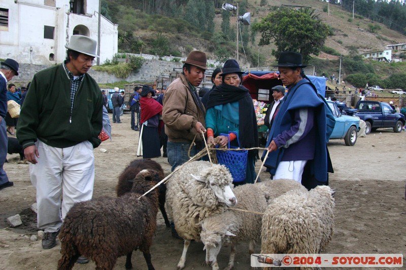 Otavalo - Marche aux bestiaux
Mots-clés: Ecuador Marche animals Mouton personnes