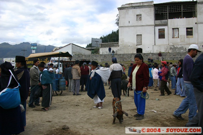Otavalo - Marche aux bestiaux
Mots-clés: Ecuador Marche cochon personnes