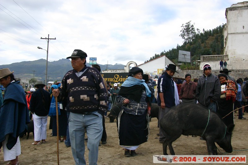 Otavalo - Marche aux bestiaux
Mots-clés: Ecuador Marche animals cochon personnes