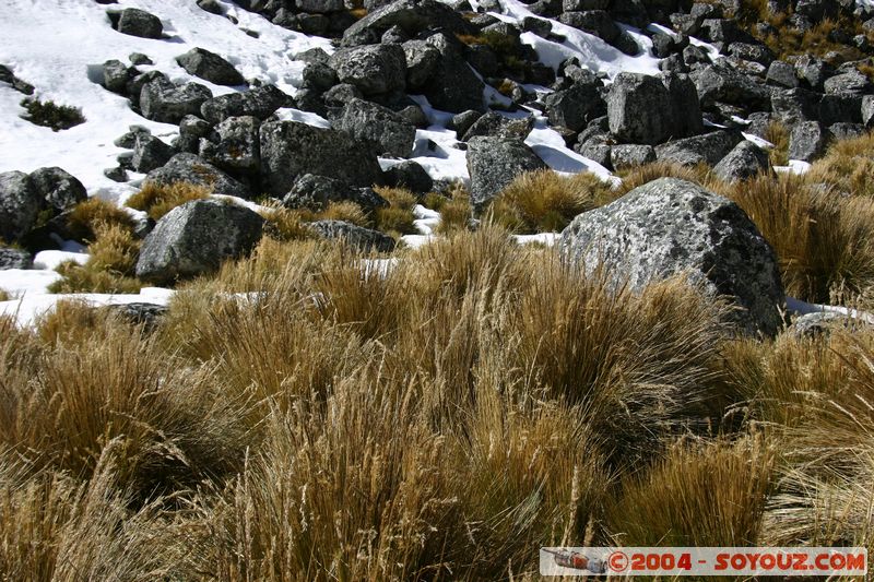 Camino Inca - Paso de Humantay
Mots-clés: peru Camino Inca Alternativo Montagne Neige
