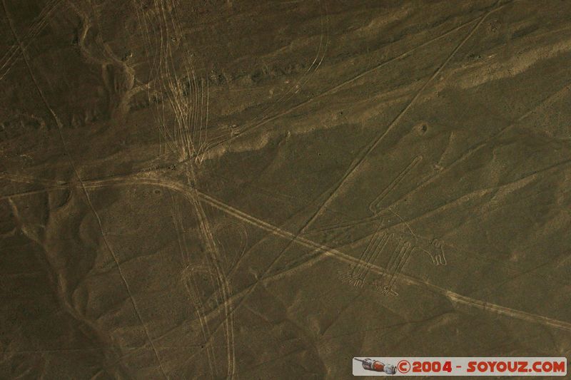 Las lineas de Nazca - perro (chien)
Mots-clés: peru Nasca patrimoine unesco Ruines