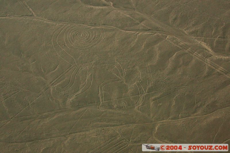 Las lineas de Nazca - mono (singe)
Mots-clés: peru Nasca patrimoine unesco Ruines