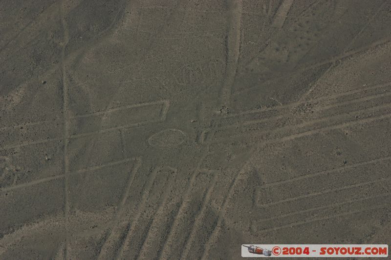 Las lineas de Nazca - flor (fleur)
Mots-clés: peru Nasca patrimoine unesco Ruines