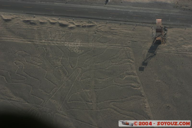 Las lineas de Nazca - arbol
Mots-clés: peru Nasca patrimoine unesco Ruines