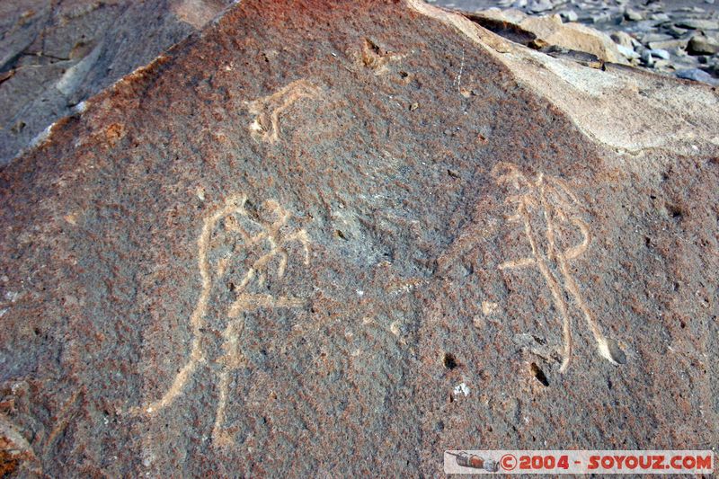 Toro Muerto - Petroglyphes

