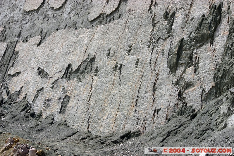 Sucre - Parque Cretacico Cal Orko
Mots-clés: Fossile
