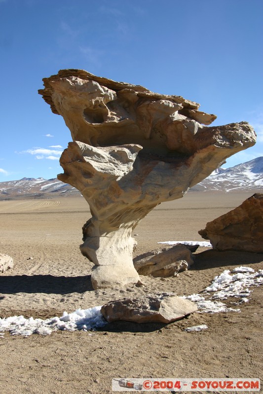 Desierto de Siloli - Arbol de Piedra
