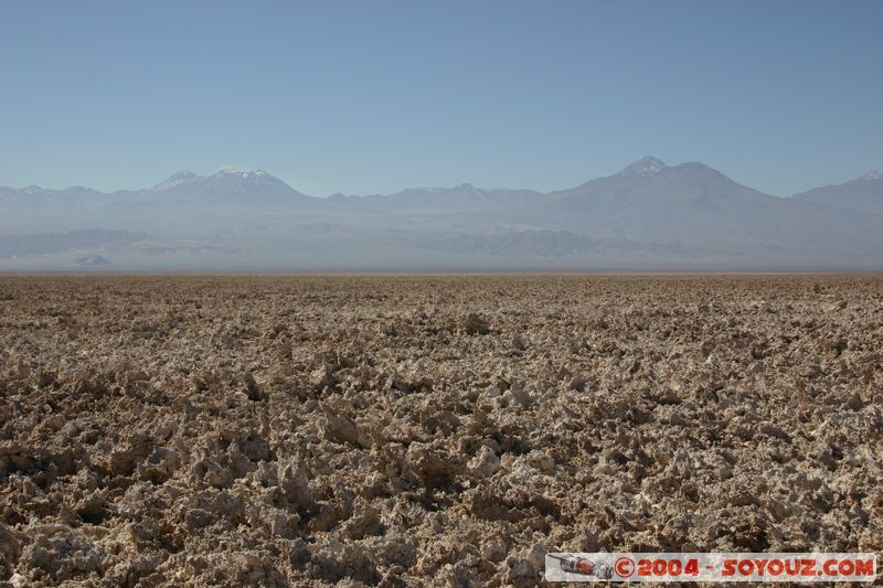 Salar de Atacama - Laguna Chaxa
Mots-clés: chile