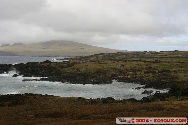 Ile de Paques
Mots-clés: chile Ile de Paques Easter Island patrimoine unesco