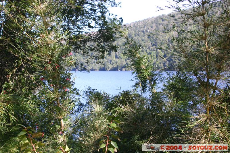 Parque Nacional Huerquehue - Lago Tinquilco
Mots-clés: chile Lac