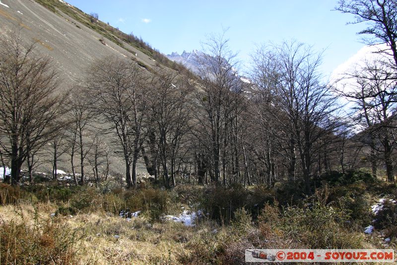 Parque Nacional Torres del Paine - Rio Ascencio
Mots-clés: chile