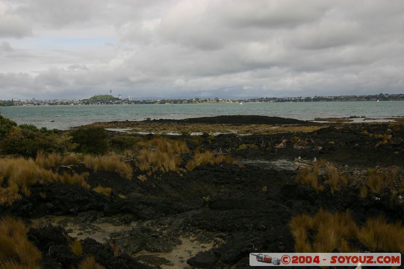 Auckland from Rongitoto Island
Mots-clés: New Zealand North Island mer