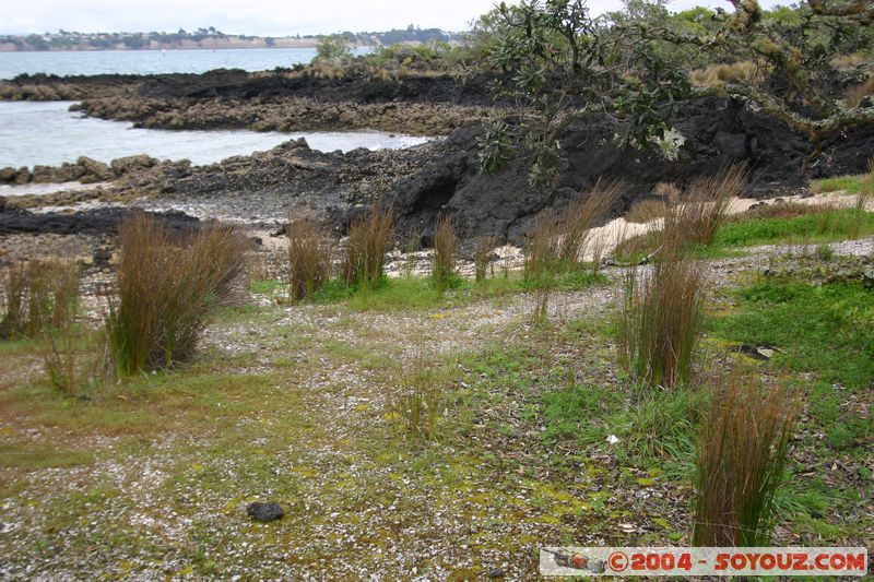 Auckland - Rongitoto Island
Mots-clés: New Zealand North Island mer plage plante