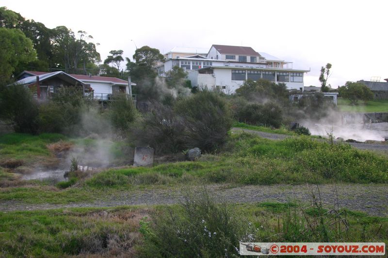 Rotorua - Ohinemutu - Hot springs
Mots-clés: New Zealand North Island geyser Thermes