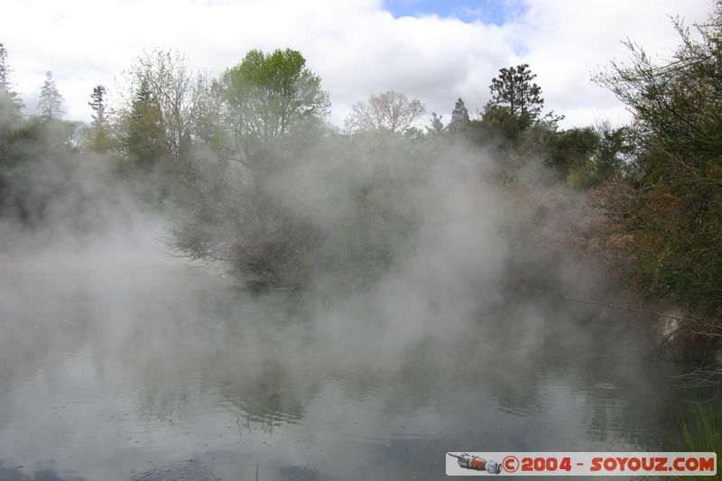 Rotorua - Kuirau Park - Hot Pools
Mots-clés: New Zealand North Island Thermes geyser
