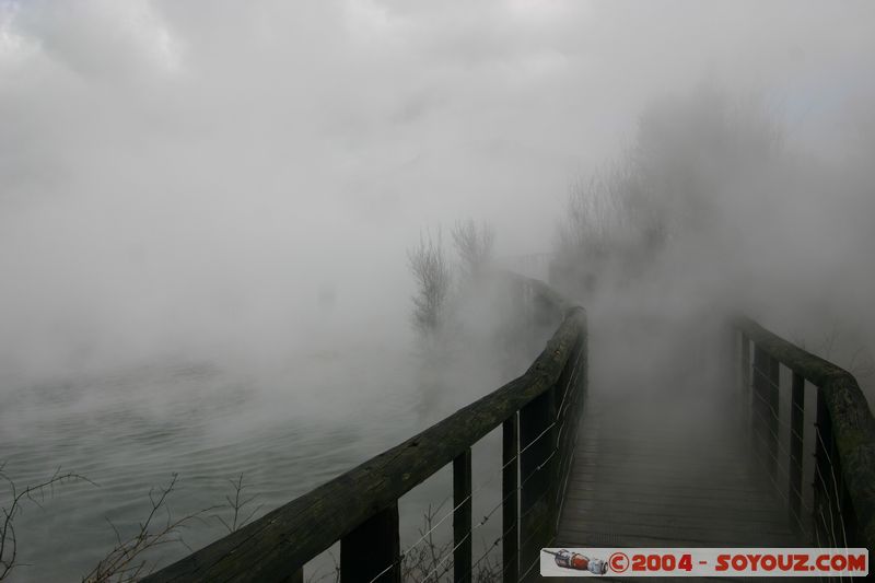 Rotorua - Kuirau Park - Hot Pools
Mots-clés: New Zealand North Island Thermes geyser