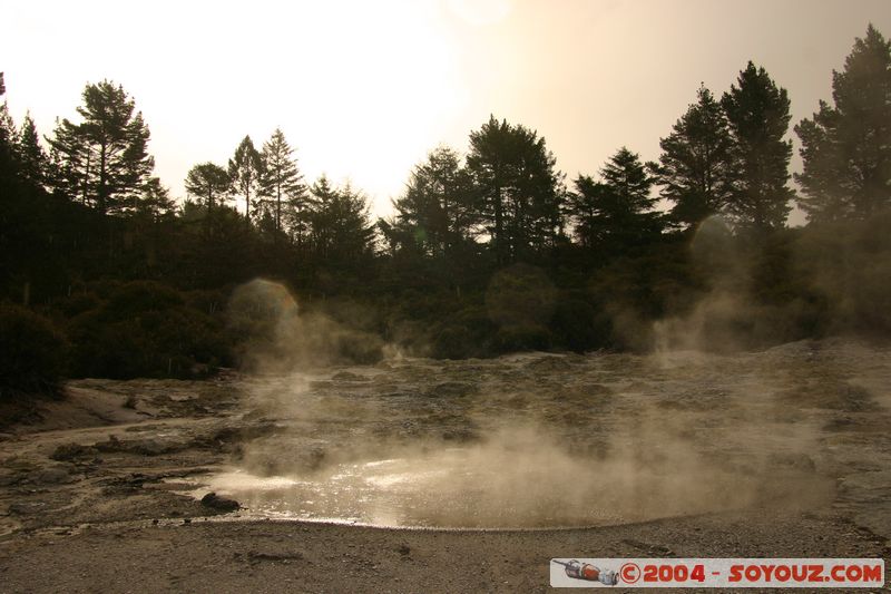 Hell's Gate
Mots-clés: New Zealand North Island Thermes geyser sunset