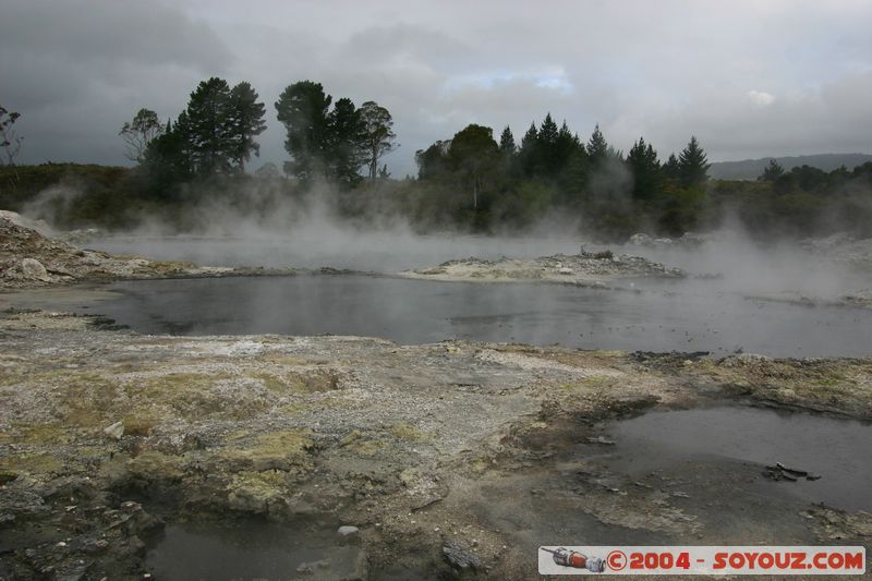 Hell's Gate
Mots-clés: New Zealand North Island Thermes geyser