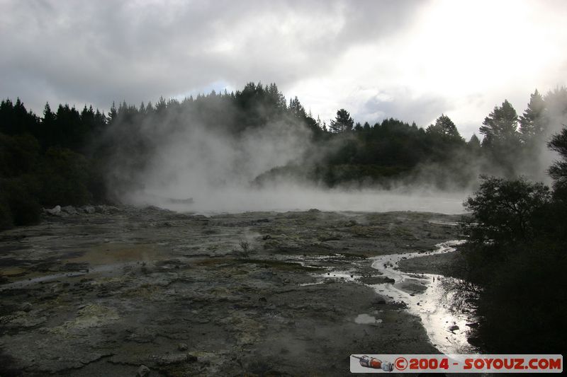 Hell's Gate
Mots-clés: New Zealand North Island Thermes geyser sunset