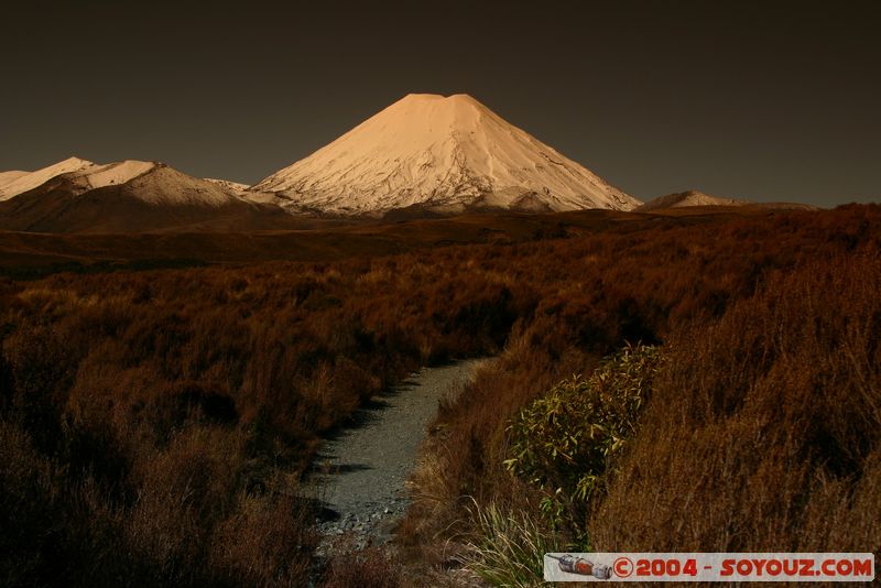 Tongariro National Park - Volcano Tongariro
Mots-clés: New Zealand North Island patrimoine unesco volcan Neige sunset