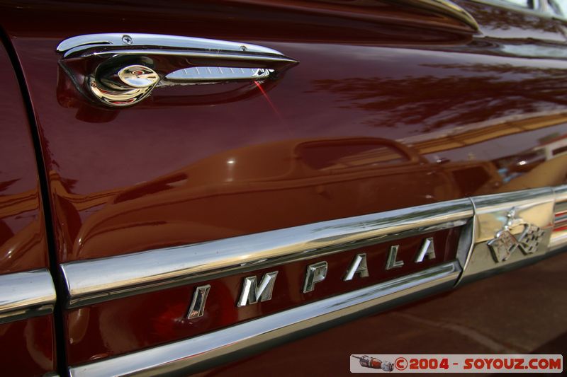 Napier - Old Cars Exhibition - Chevrolet Impala 1959
Mots-clés: New Zealand North Island voiture