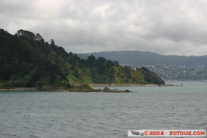 Wellington Coast
Mots-clés: New Zealand North Island