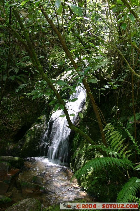 Abel Tasman National Park - Sandy Bay - Waterfall
Mots-clés: New Zealand South Island cascade
