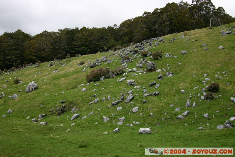 Abel Tasman National Park - Pikikiruna Range
Mots-clés: New Zealand South Island