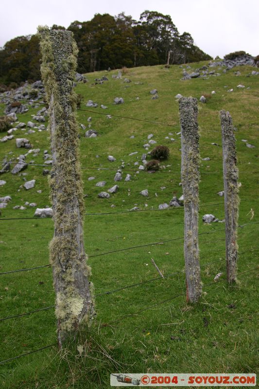 Abel Tasman National Park - Pikikiruna Range
Mots-clés: New Zealand South Island