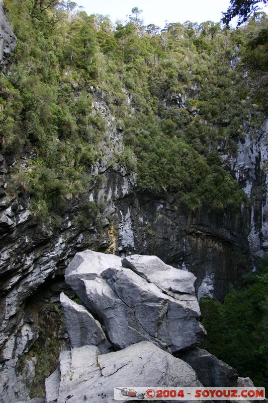 Abel Tasman National Park - Harwood Hole
Mots-clés: New Zealand South Island Arbres