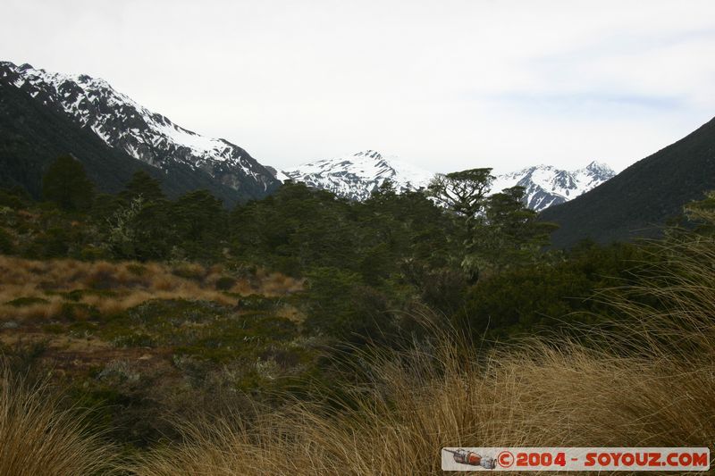 Lewis Pass
Mots-clés: New Zealand South Island Montagne Neige