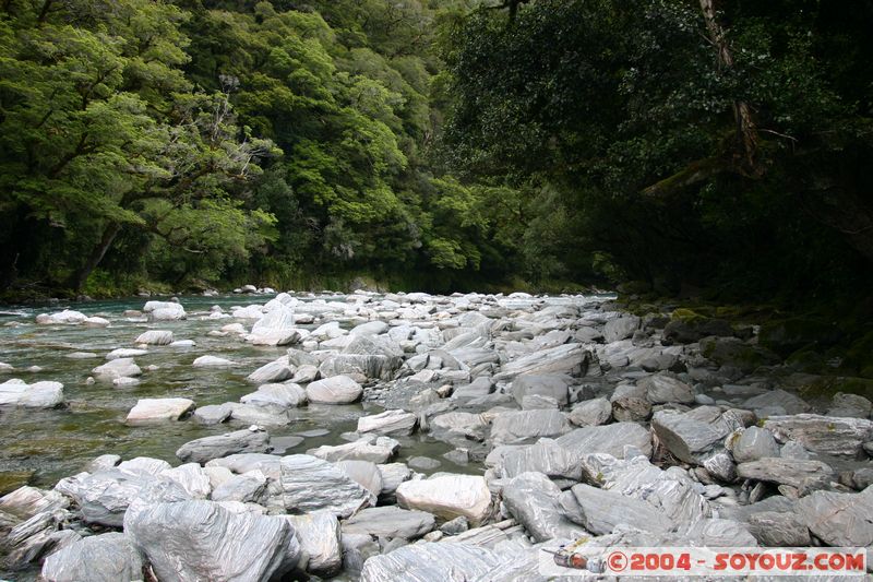 Haast Pass - Thunder Creek Falls
Mots-clés: New Zealand South Island Riviere