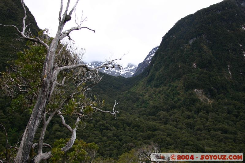 Te Anau / Milford Highway - The Divide
Mots-clés: New Zealand South Island patrimoine unesco