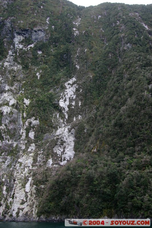 Milford Sound
Mots-clés: New Zealand South Island patrimoine unesco