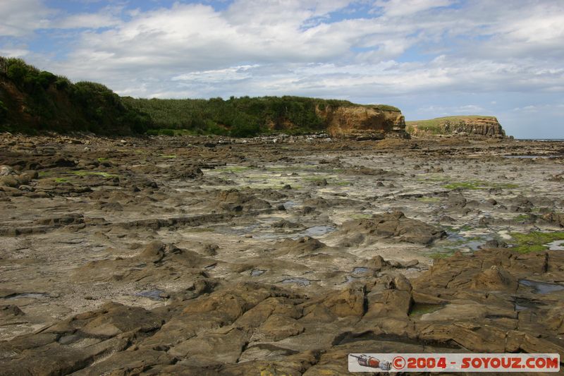 The Catlins - Curio Bay - Fossil Forest
Mots-clés: New Zealand South Island Fossile