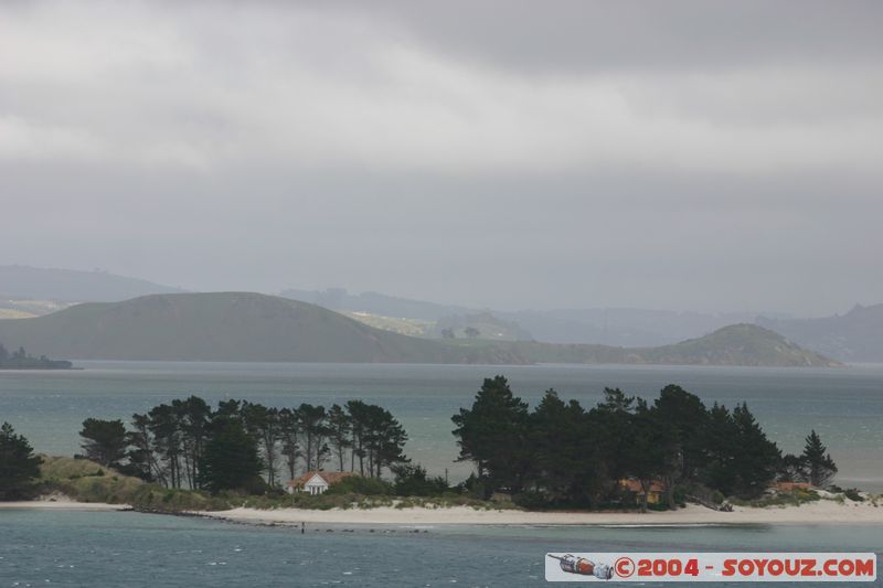 Otago Peninsula
Mots-clés: New Zealand South Island