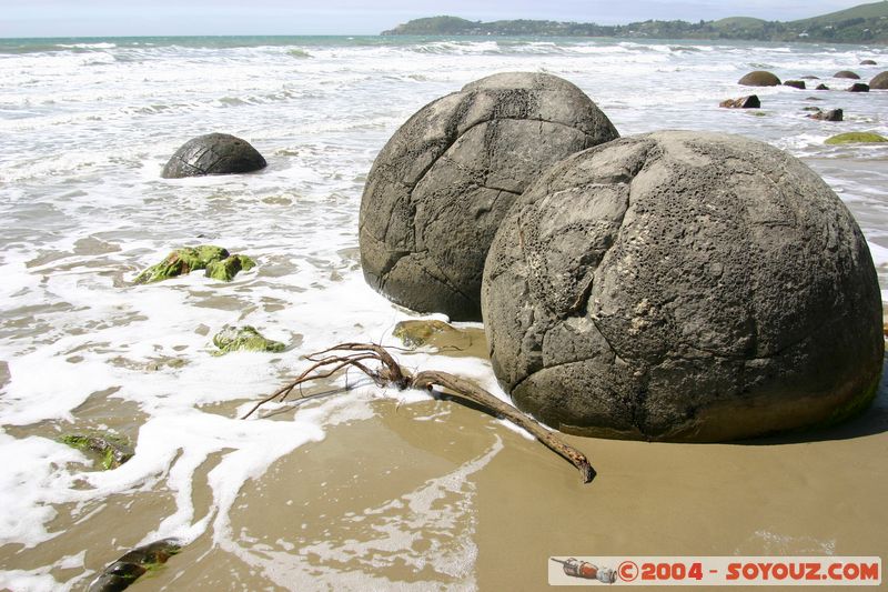 Moeraki Boulders
Mots-clés: New Zealand South Island plage