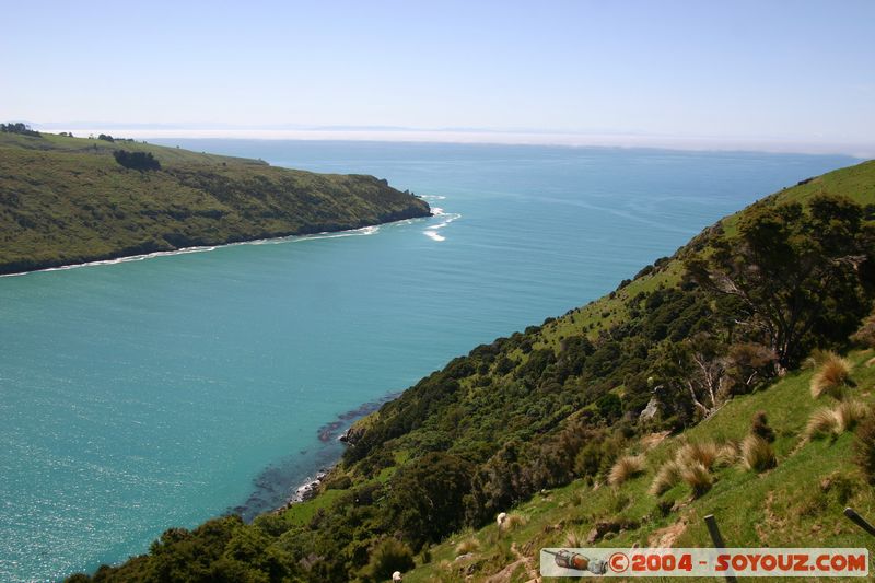 Banks Peninsula - Little Akaloa Bay
Mots-clés: New Zealand South Island mer