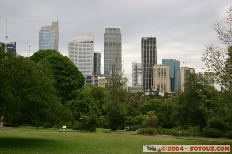 Sydney - Royal Botanical Garden
